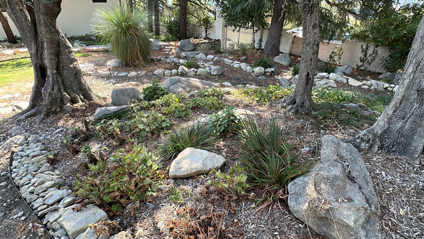 The rocky slope before construction, with boulders, ground ivy and pines