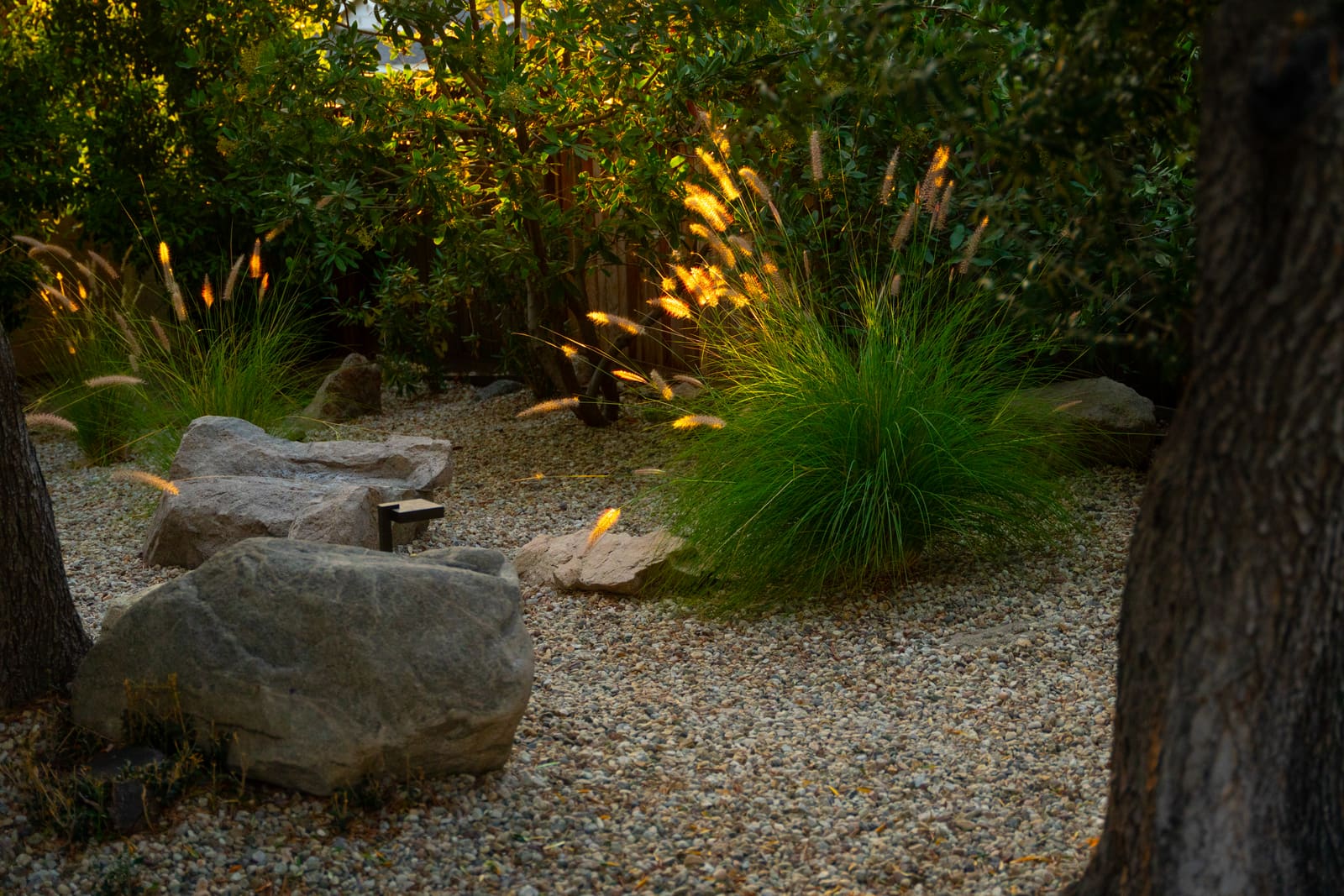 Grasses and boulders lit from below along the gravel path at dusk