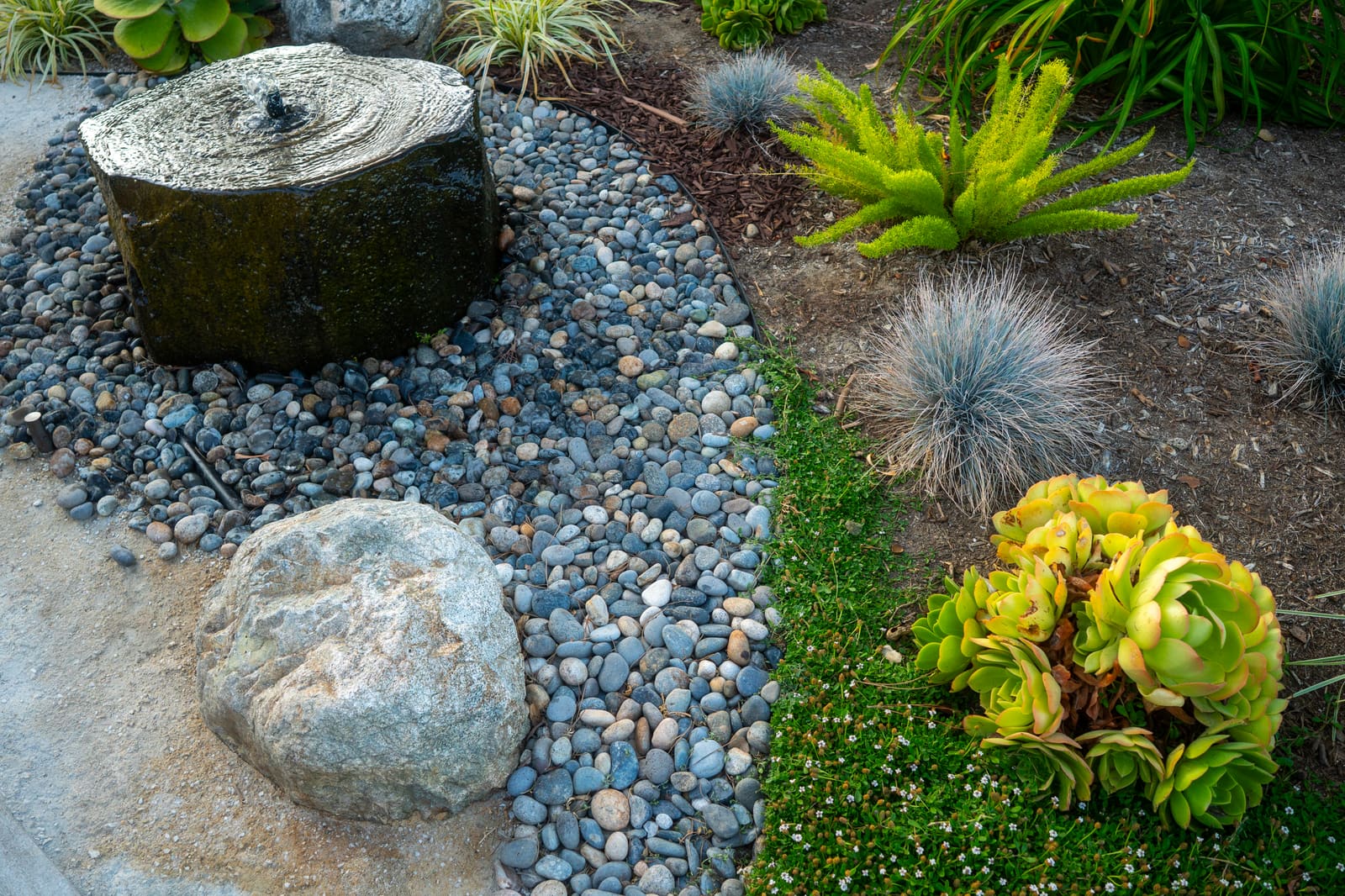 River rock bed curving between flowering groundcover and blue fescue, with a boulder set into it