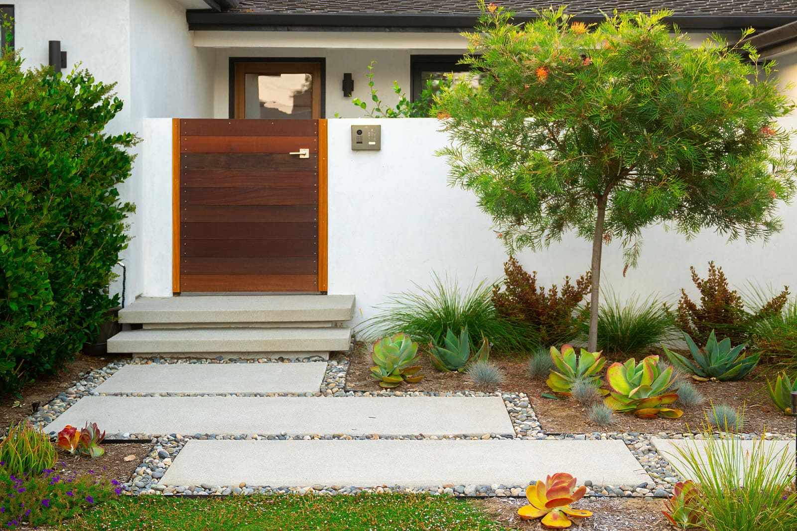 Modern timber gate in a white stucco wall at the front entry, with concrete pads and succulents