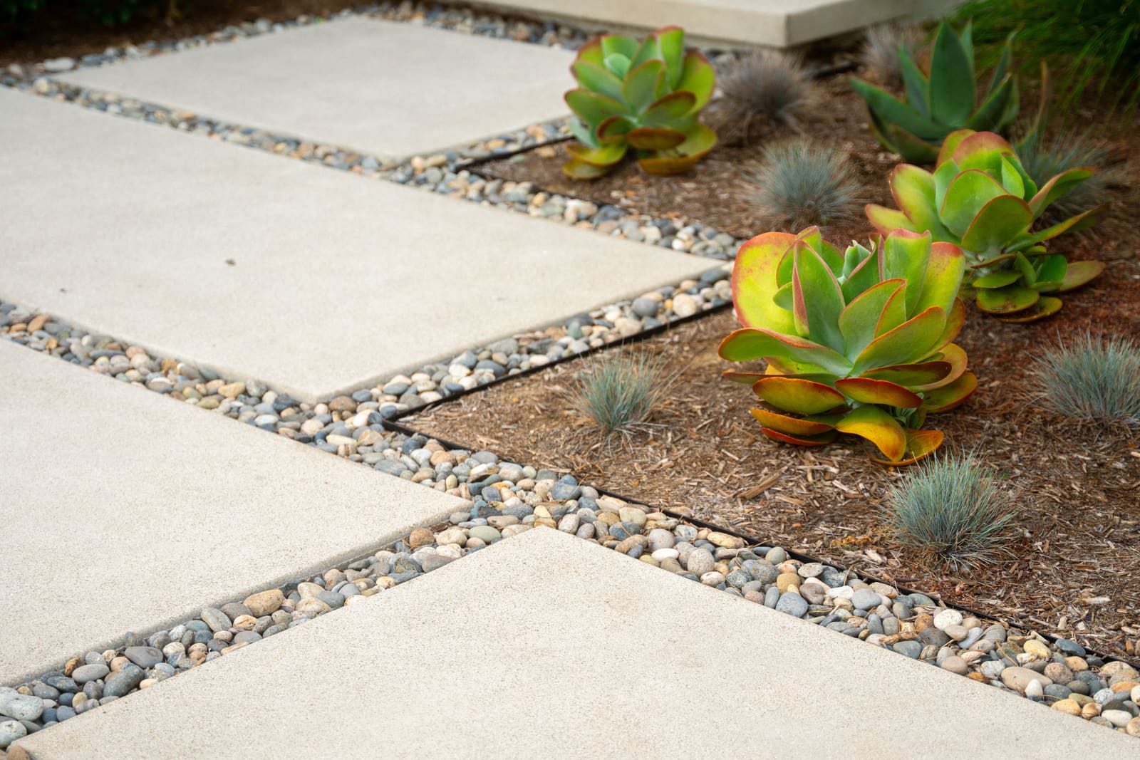 Floating concrete pads set in pebble joints leading through succulent planting to the entry