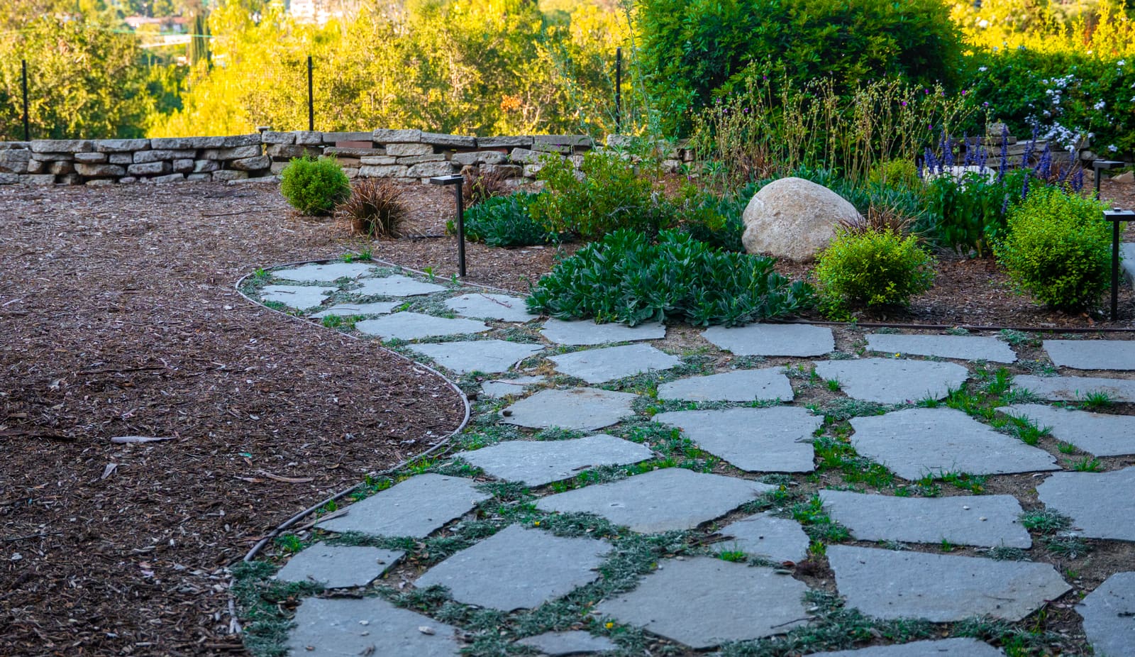 Flagstone paving with groundcover joints running past a dry-stack stone wall and layered planting