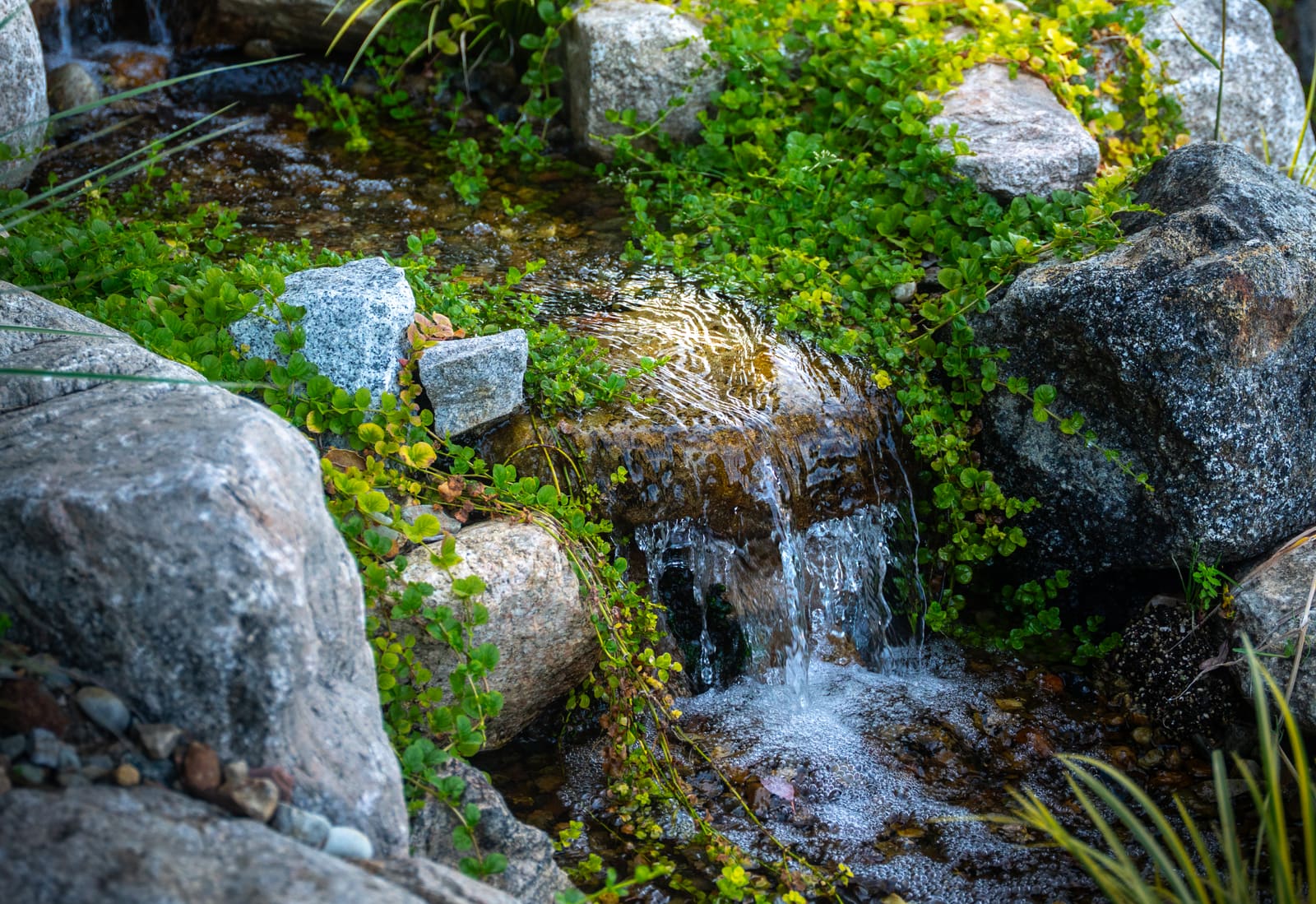 Water spilling between granite boulders into the planted stream, framed by creeping groundcover
