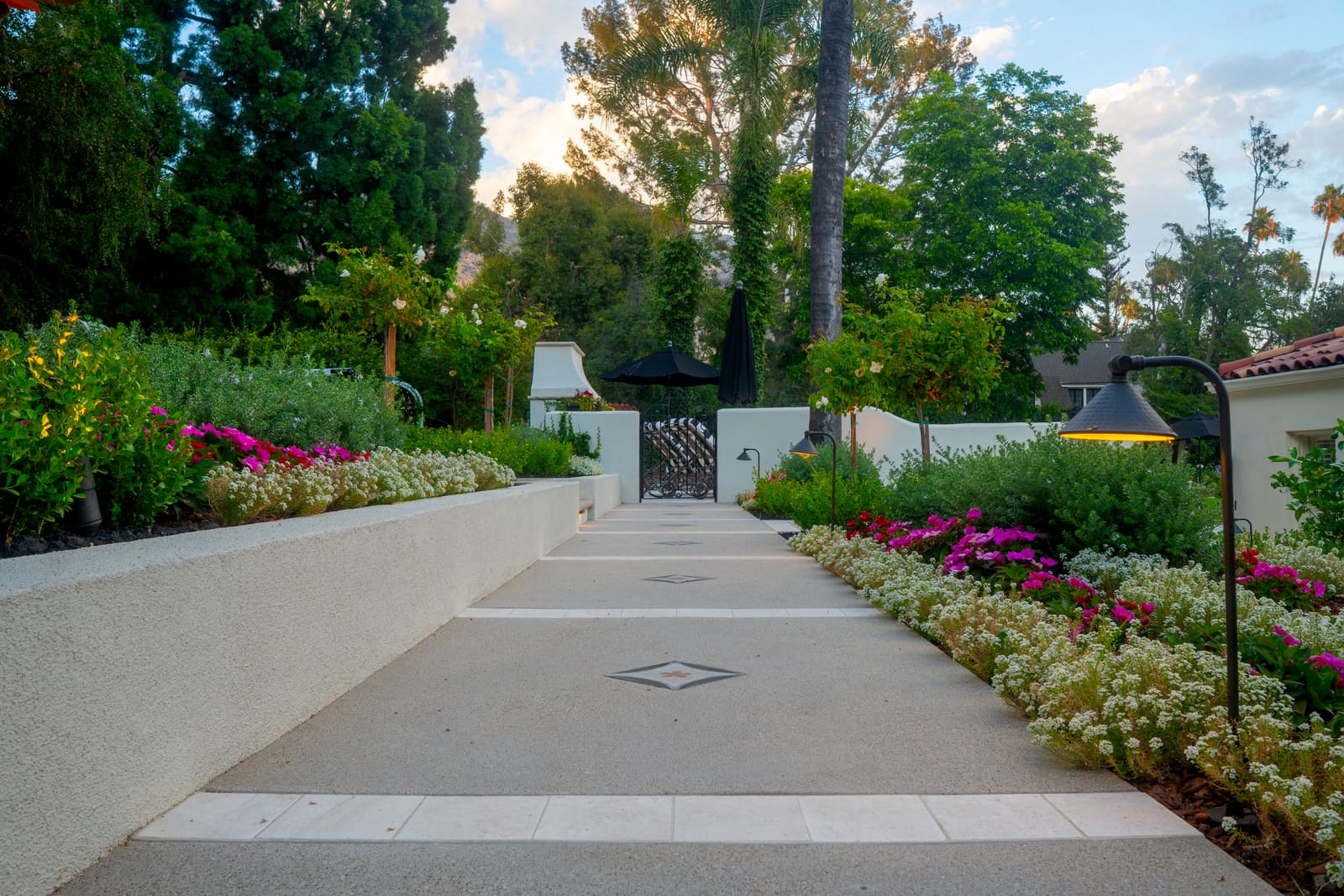 Entry walk of pale stone flanked by white iceberg roses and clipped boxwood
