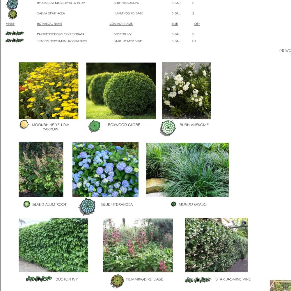 The planting palette from a conceptual landscape plan, with a photo of each selected plant beside the planting legend