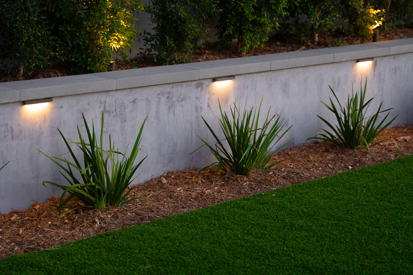 Low-voltage hardscape lights tucked under a retaining wall cap, washing the wall above strappy planting, with uplit shrubs behind it at dusk