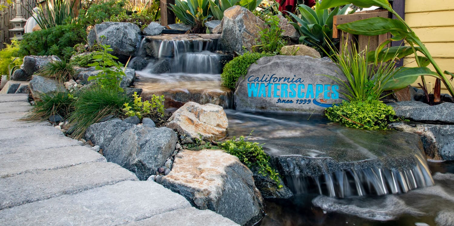 A narrow modern koi pond built along a garden wall, with clear water and stone edging