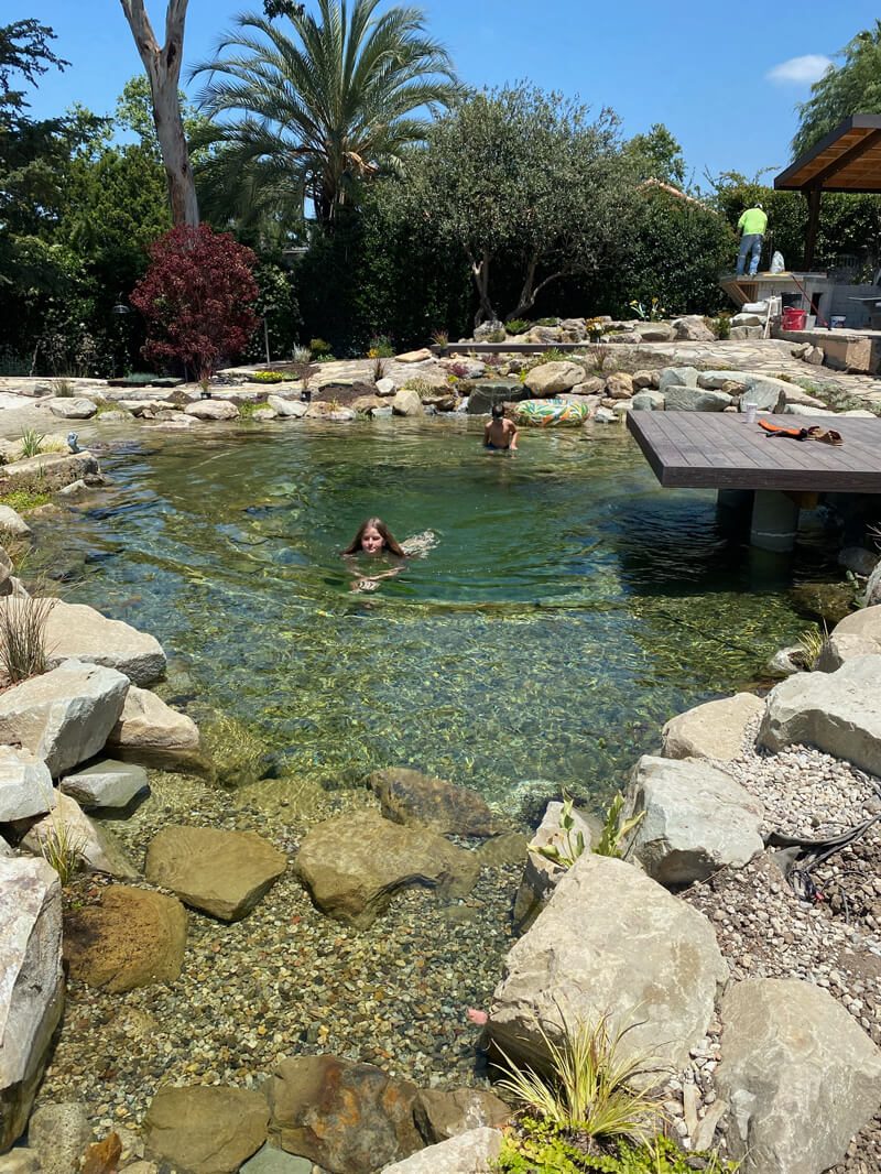 Two people swimming in a crystal-clear natural swim pond with a gravel bottom, boulders, and a wood deck under construction
