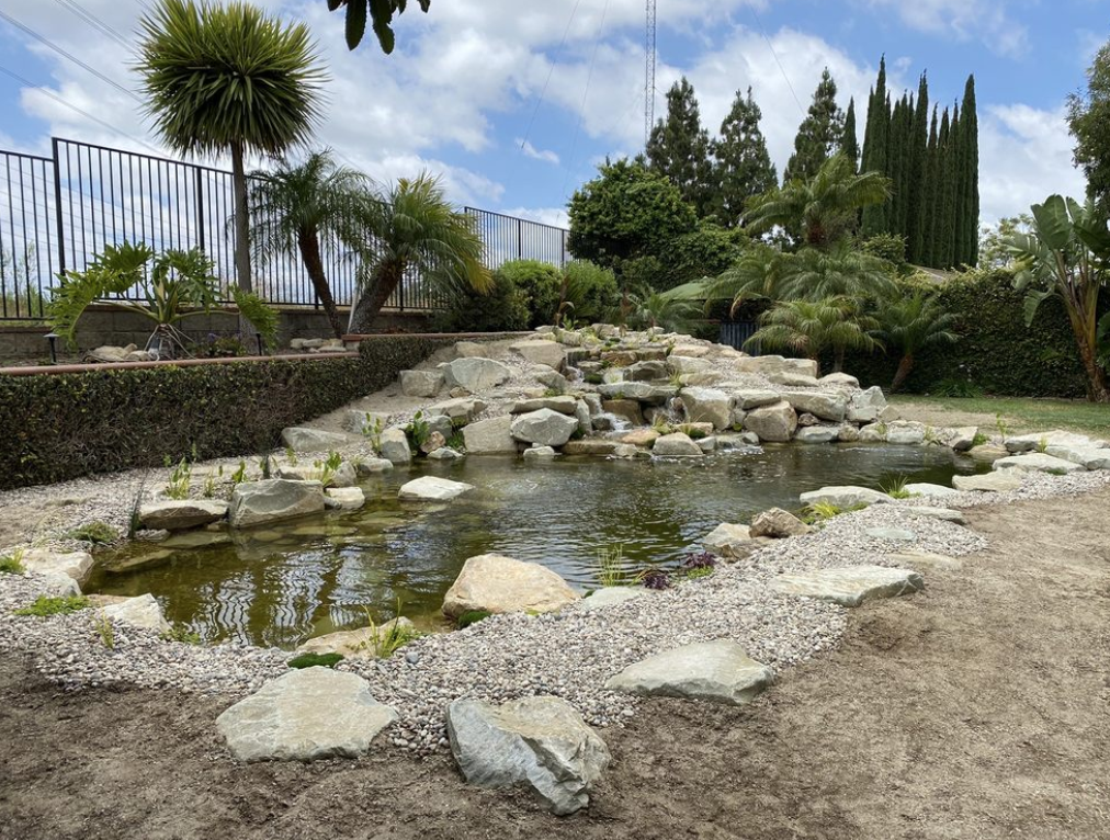 The finished natural pool conversion, with hand-placed boulders and a waterfall