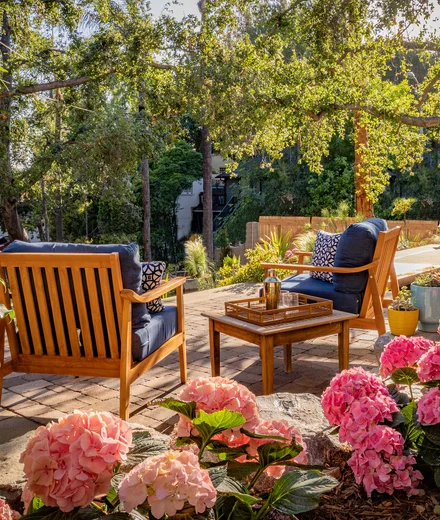 Teak lounge seating framed by hydrangeas in a Pacific Outdoor Living garden