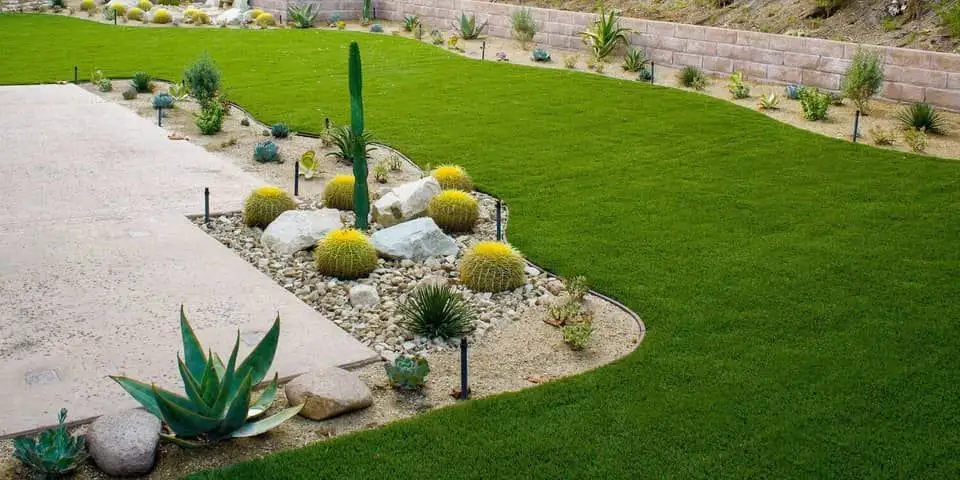 A drought-tolerant planting bed of barrel cactus, agave, and succulents in gravel mulch bordered by a lawn and retaining wall