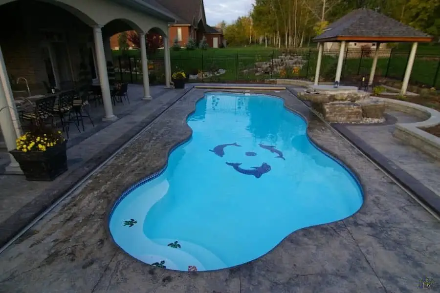Large organic formed pool surrounded by stone.