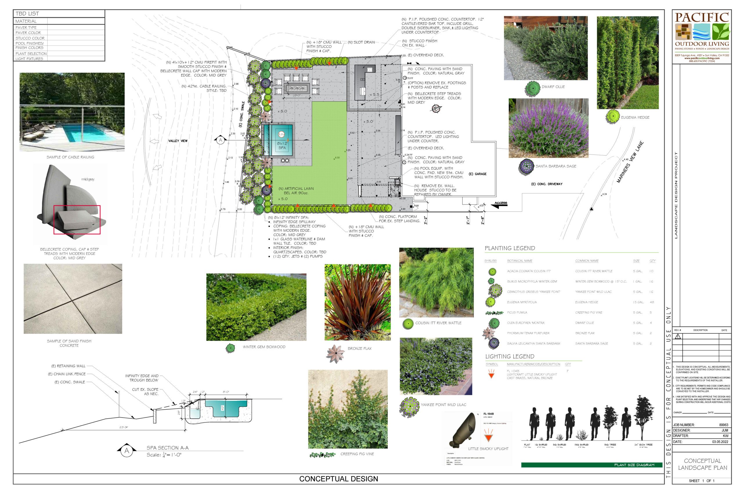 CONCEPTUAL PLAN