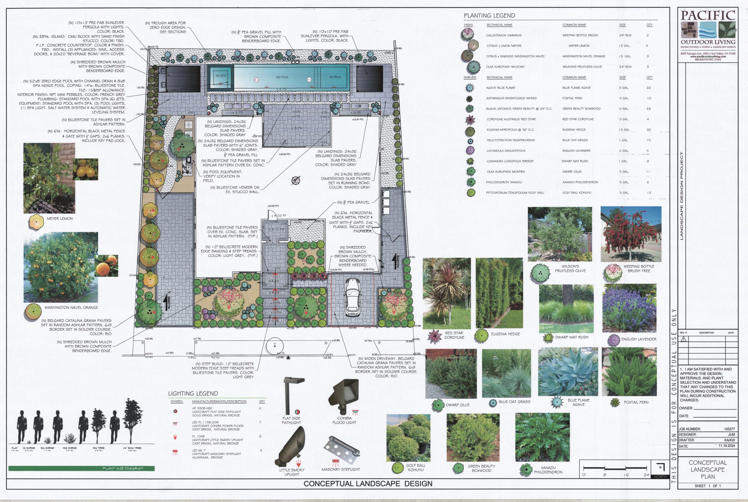 Conceptual landscape design plan showing pool, outdoor kitchen, and pergola layout by Pacific Outdoor Living