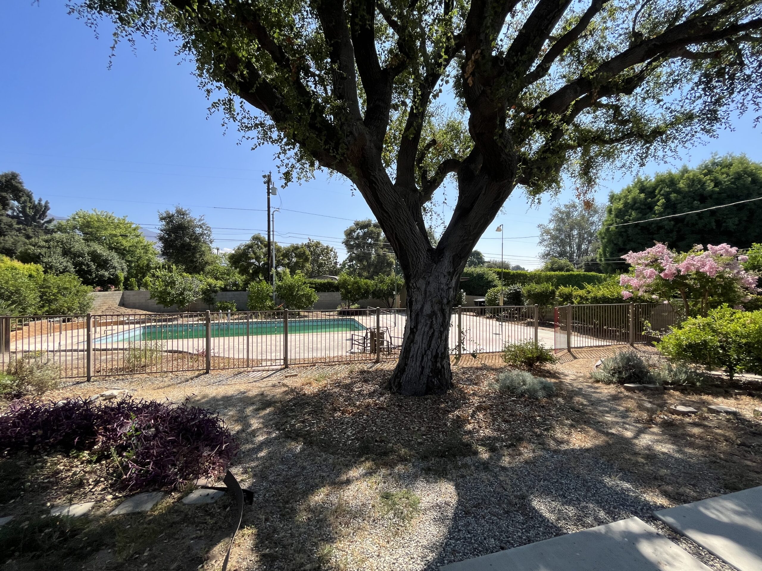 Backyard before renovation prior to design and construction by Pacific Outdoor Living