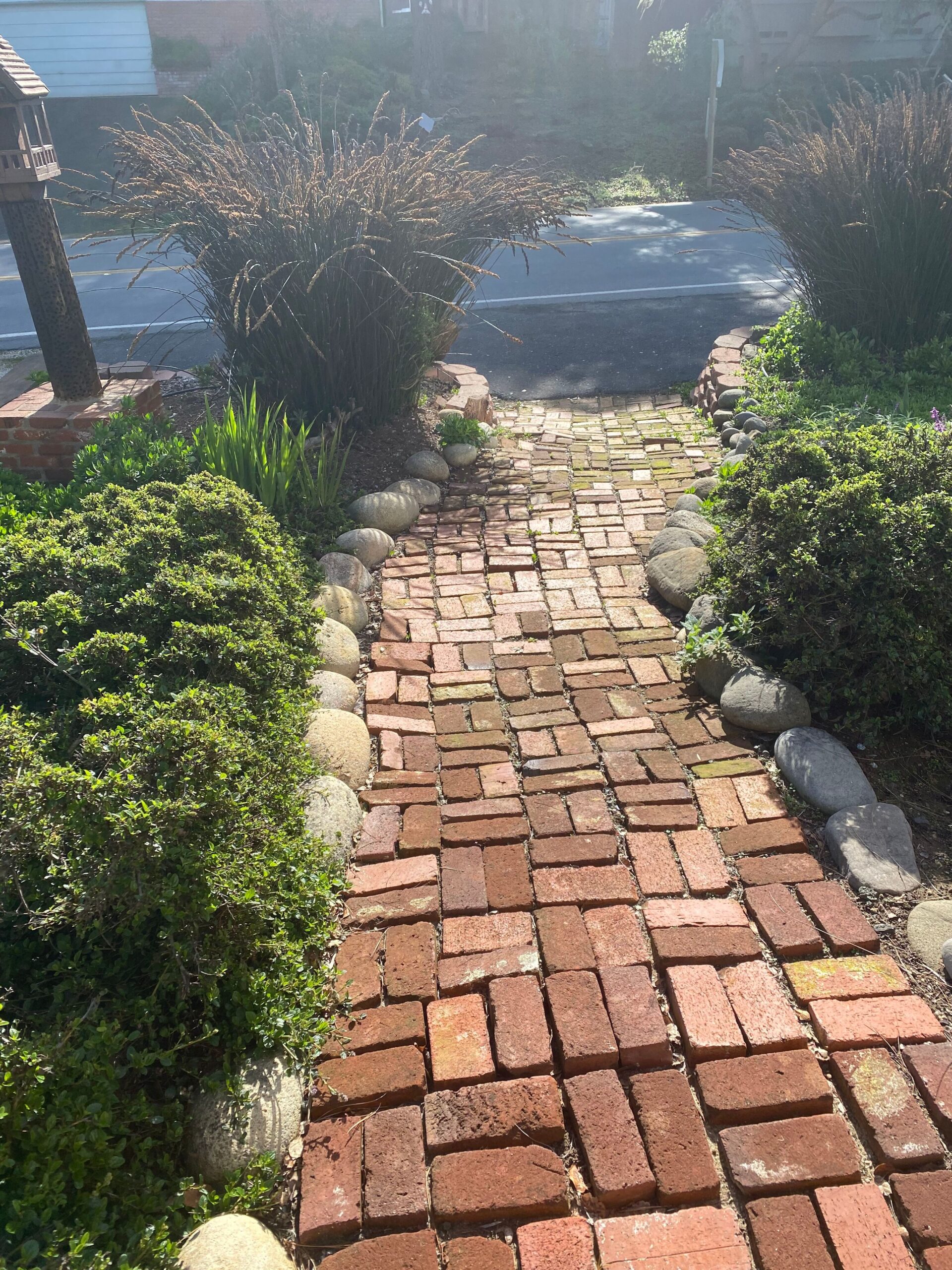 Backyard before renovation prior to design and construction by Pacific Outdoor Living