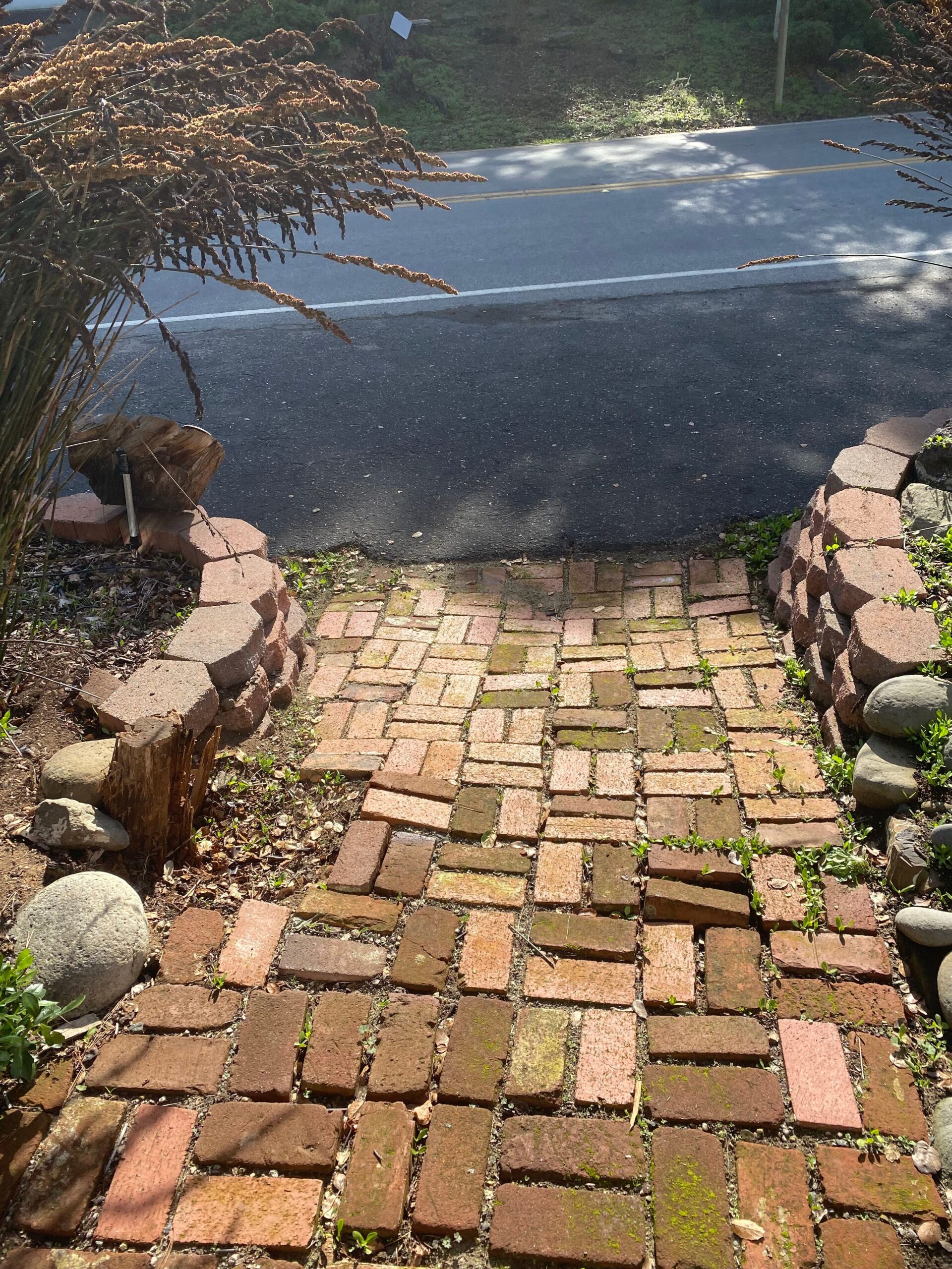 Backyard before renovation prior to design and construction by Pacific Outdoor Living