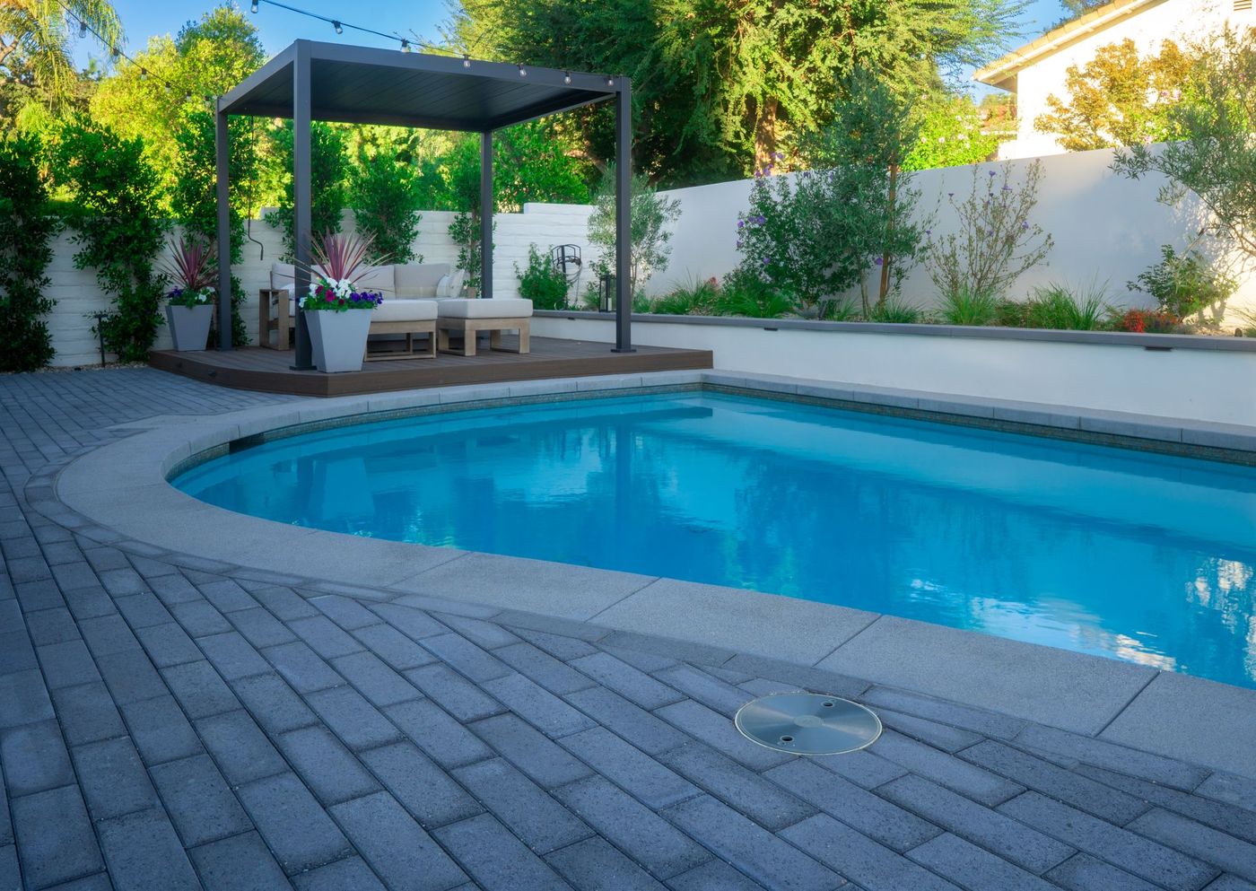 Backyard swimming pool with pergola lounge area and surrounding planting