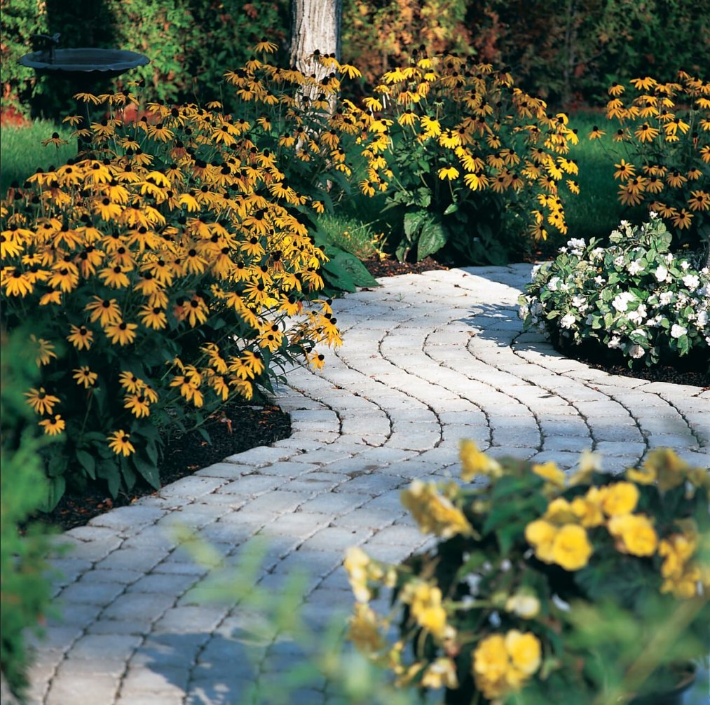 Curved paver garden path through mature flowering planting beds