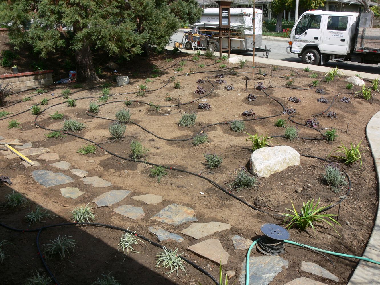Drip irrigation line installation running through a native planting bed