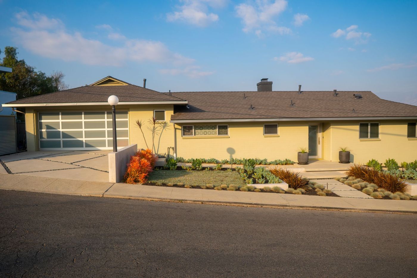 California front yard landscape with layered succulents, ornamental grasses, clean concrete entry path, and modern planting design creating strong curb appeal.