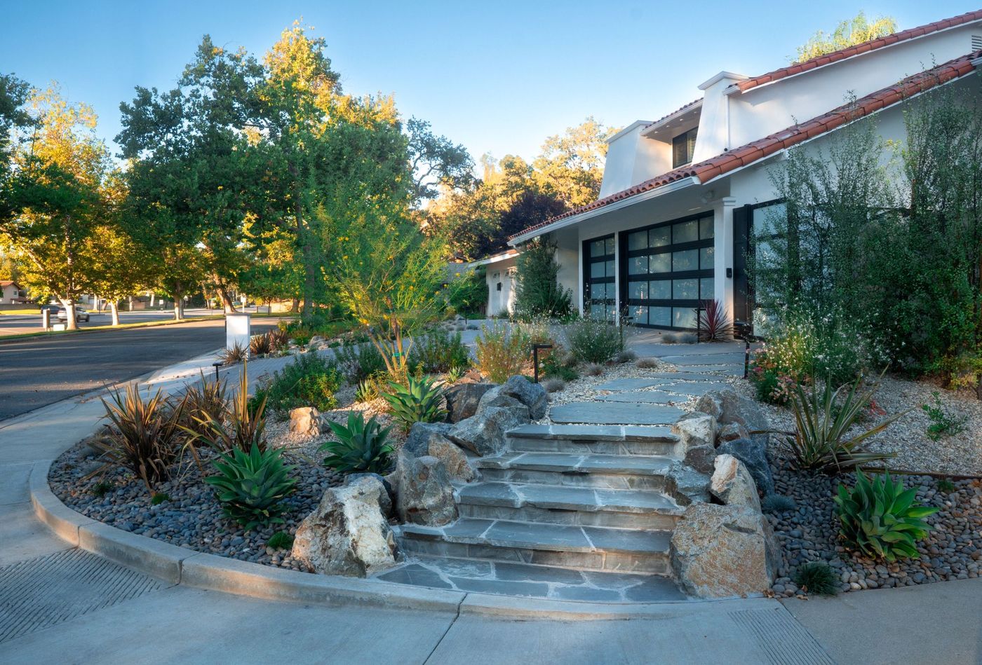 Front yard landscape design featuring stone entry steps, decorative rocks, and drought-tolerant planting at a modern home.