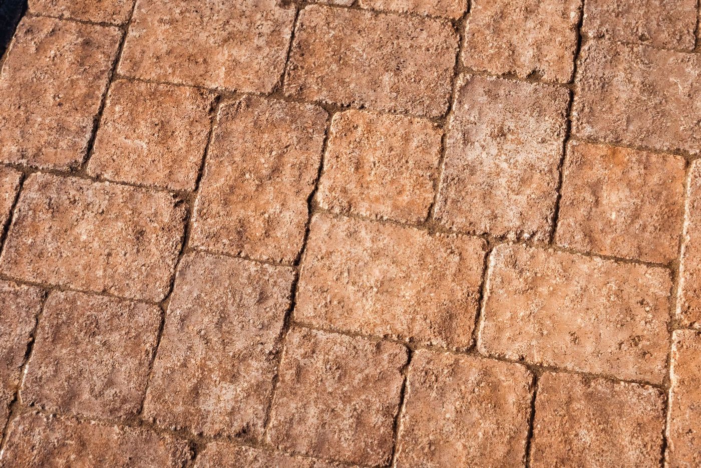 Close-up detail of stamped concrete paver pattern used in a Paso Robles walkway installation.