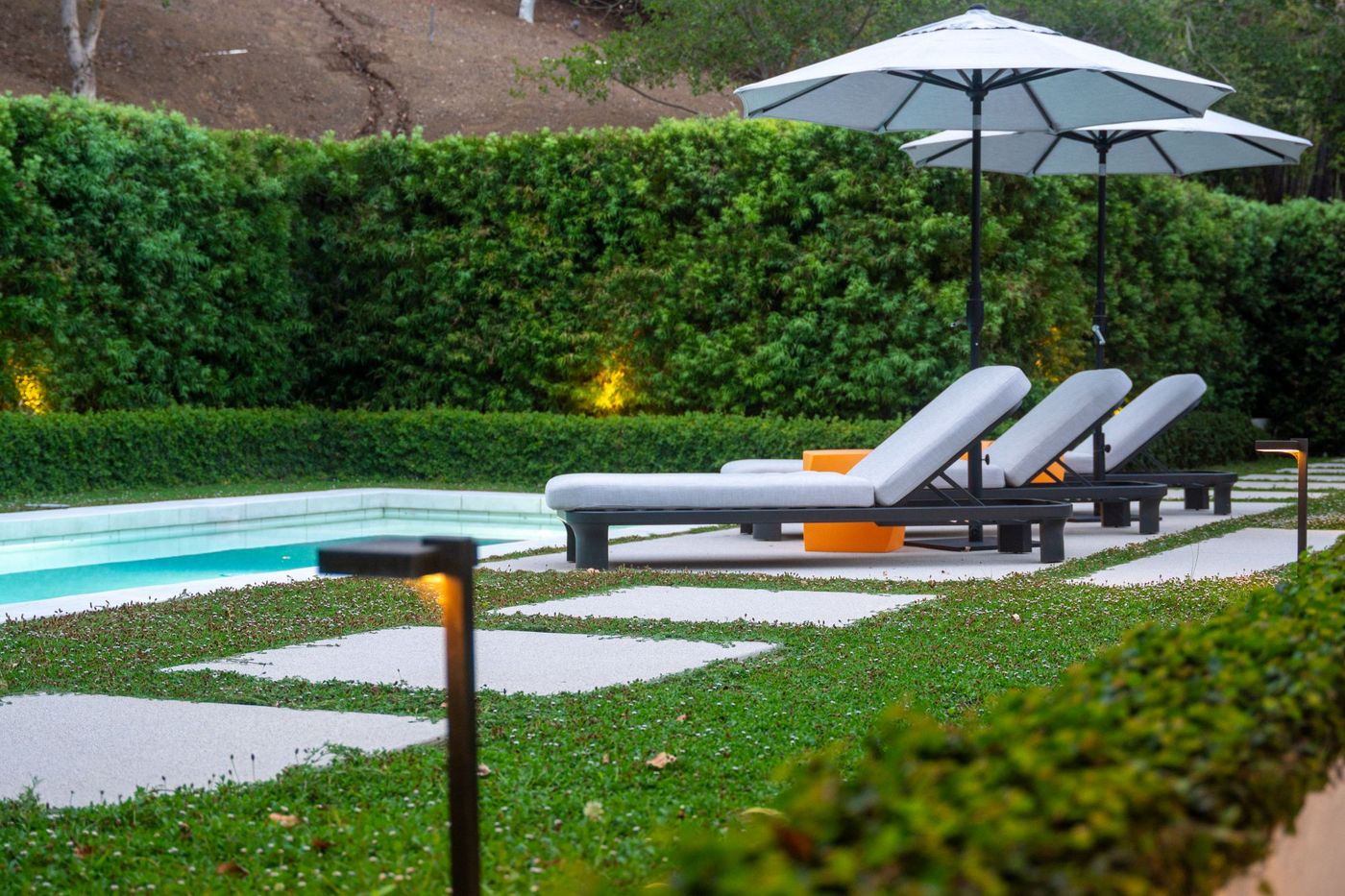 Tall dense green hedge forming a windbreak and privacy screen along a poolside patio with lounge chairs and umbrellas