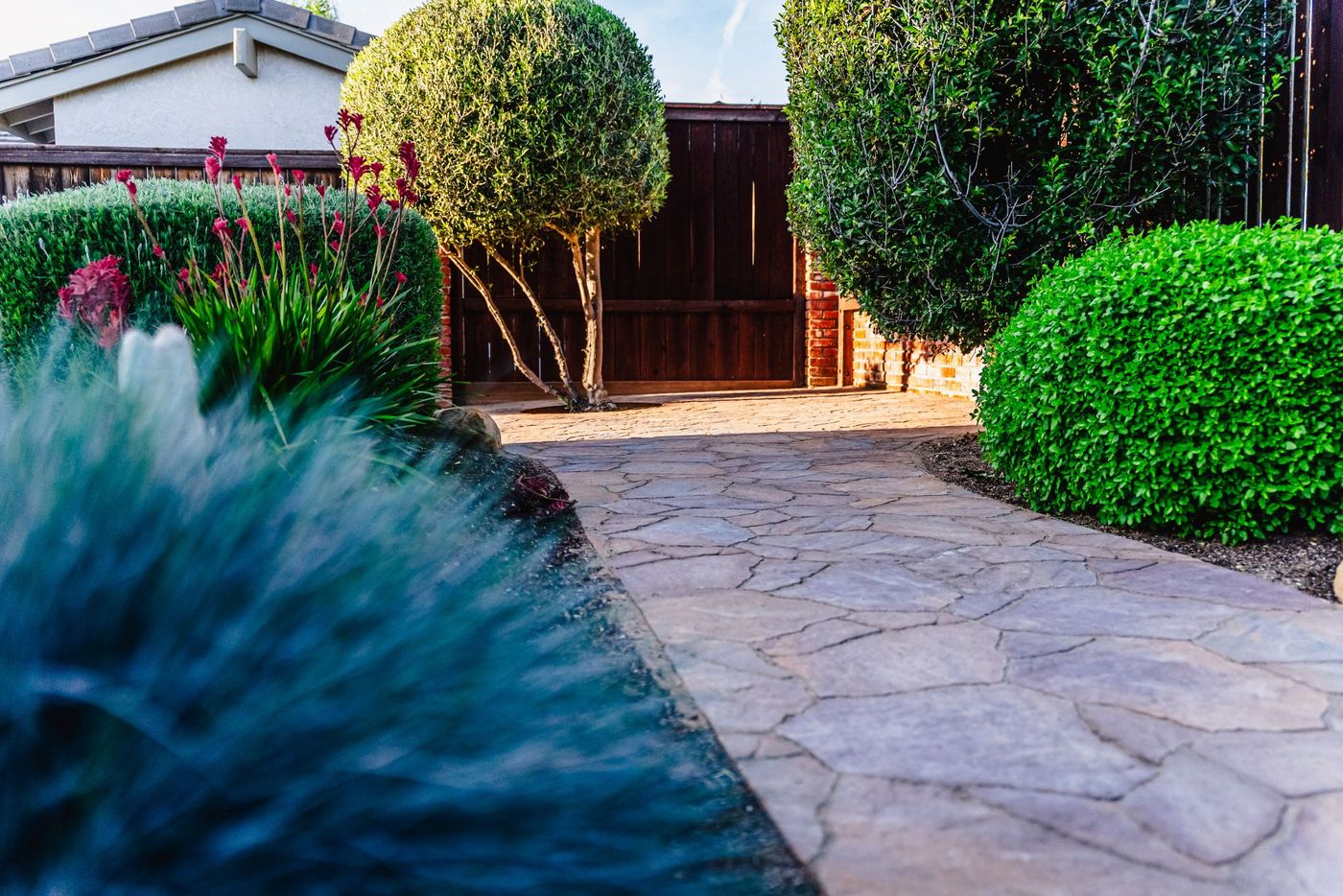 Curved stamped concrete garden walkway bordered by flowering plants and manicured shrubs in Shell Beach.