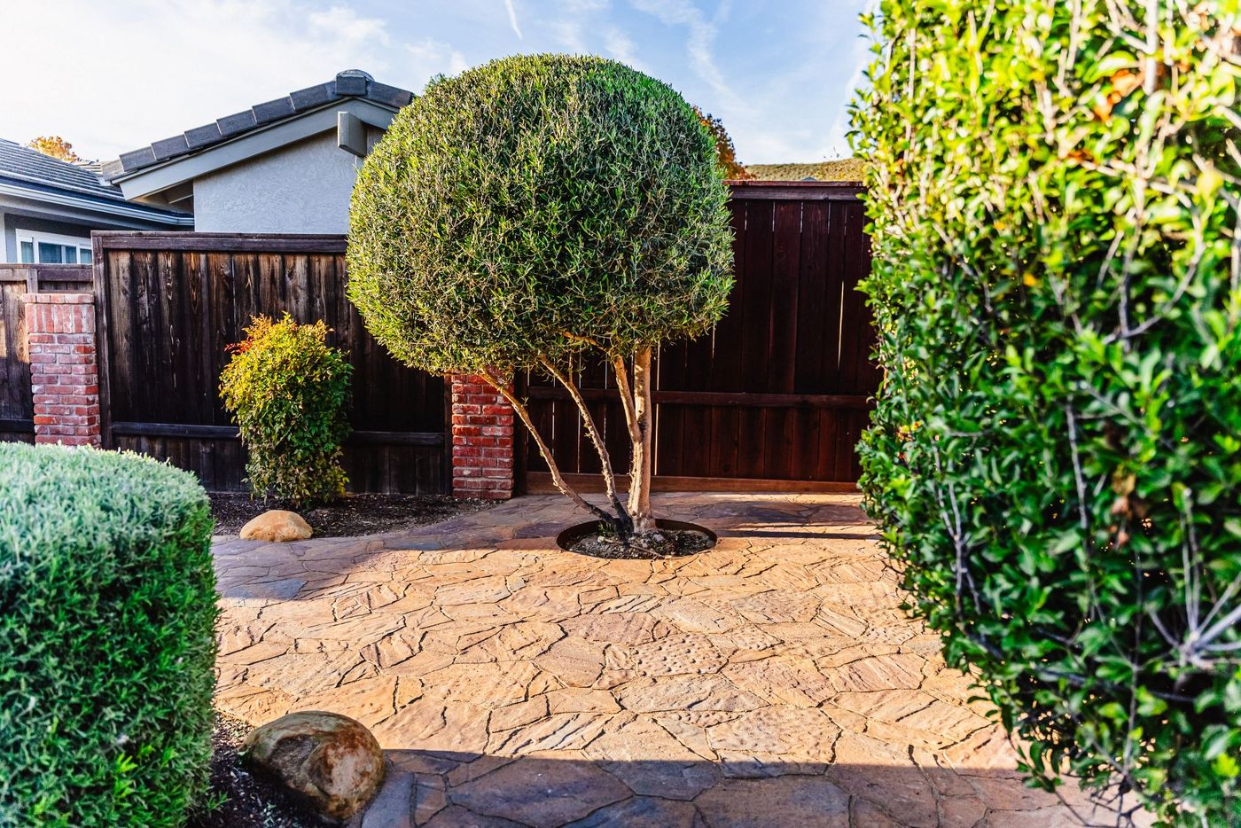 Stamped concrete walkway with natural stone texture surrounding a manicured tree in a Shell Beach backyard.