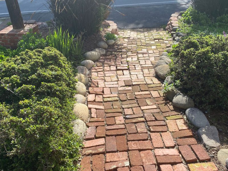 Backyard before renovation prior to design and construction by Pacific Outdoor Living