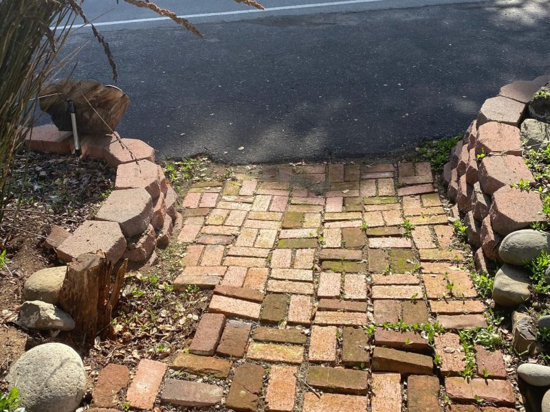 Backyard before renovation prior to design and construction by Pacific Outdoor Living