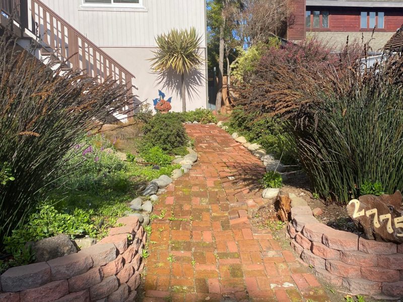 Backyard before renovation prior to design and construction by Pacific Outdoor Living