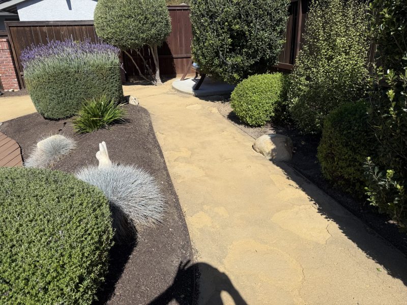 Backyard before renovation prior to design and construction by Pacific Outdoor Living