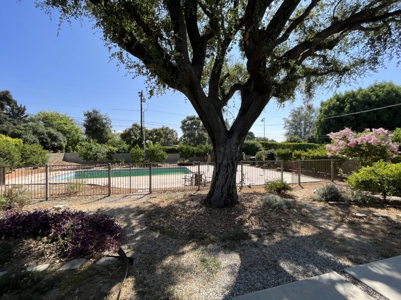 Backyard before renovation prior to design and construction by Pacific Outdoor Living