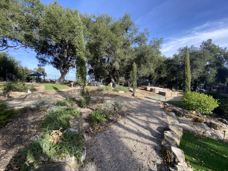 Backyard renovation, design, and construction by Pacific Outdoor Living