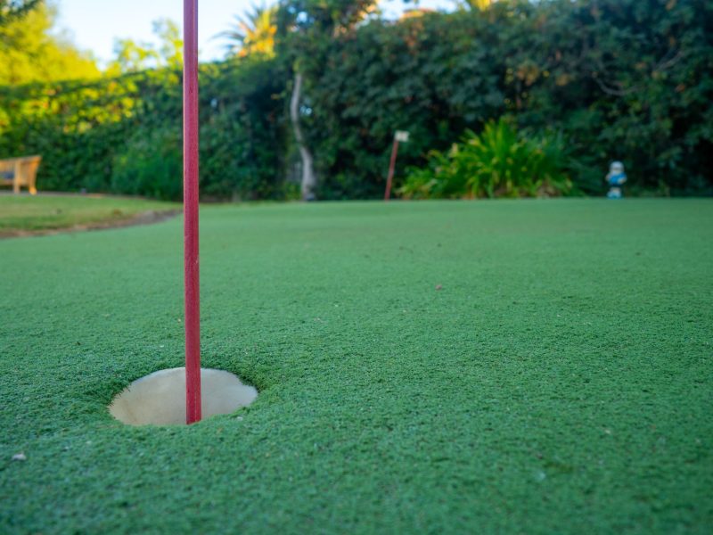 Custom backyard putting green with artificial turf designed for residential outdoor living