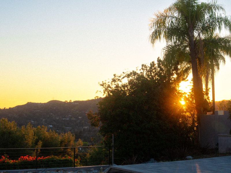 Modern square spa beside palm trees and hillside landscape during warm sunset lighting.
