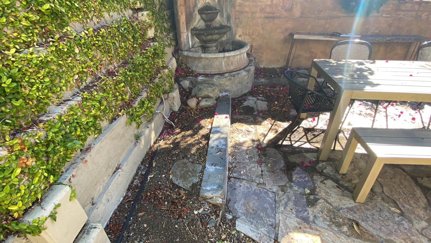 Hollywood Hills Fun for Family and Friends before