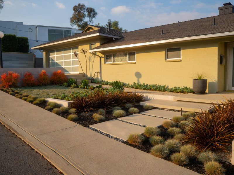 Modern California front yard featuring drought-tolerant succulents, geometric concrete driveway, and clean mid-century modern home facade designed by a landscape design-build contractor.