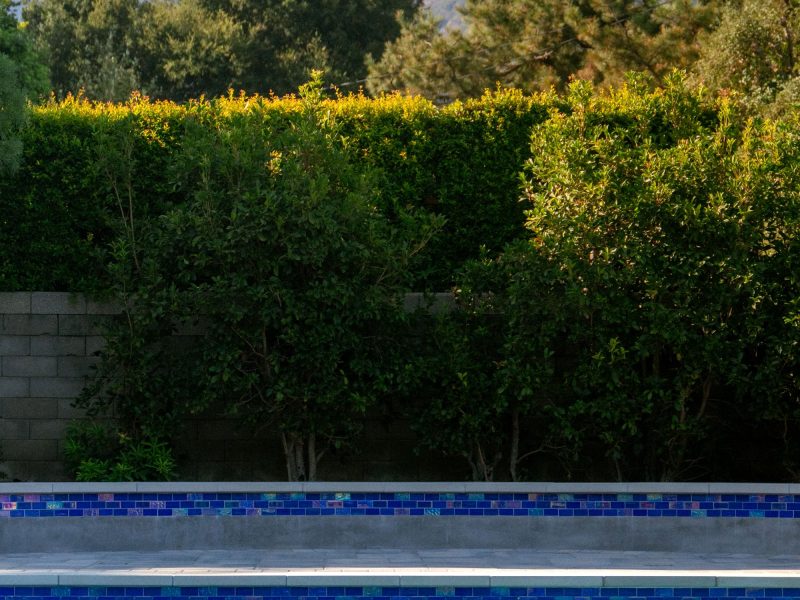 Close view of a contemporary swimming pool featuring blue waterline tile, clear water surface, and tree-lined mountain backdrop in a California backyard landscape.