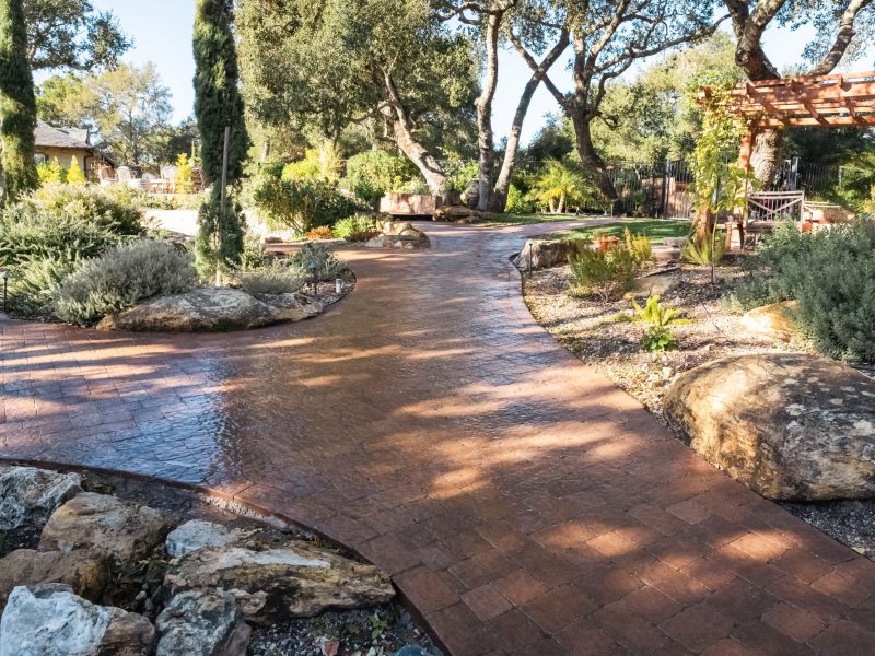 Luxury outdoor living space in Paso Robles featuring a curved paver walkway, mature oak trees, and layered planting beds.