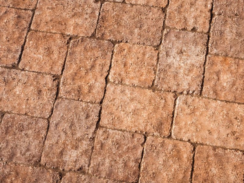 Close-up detail of stamped concrete paver pattern used in a Paso Robles walkway installation.