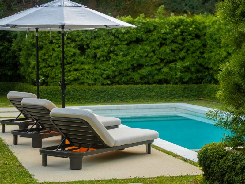 Modern lounge seating beside a rectangular swimming pool framed by lush green privacy hedges.