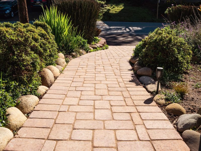Landscape design build project in San Luis Obispo showcasing a gently sloped paver walkway with decorative stone borders.