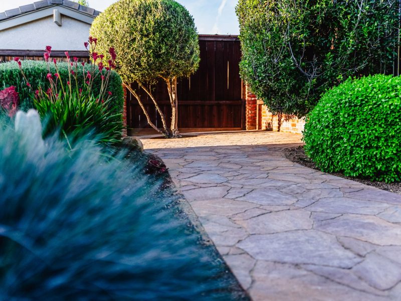 Curved stamped concrete garden walkway bordered by flowering plants and manicured shrubs in Shell Beach.