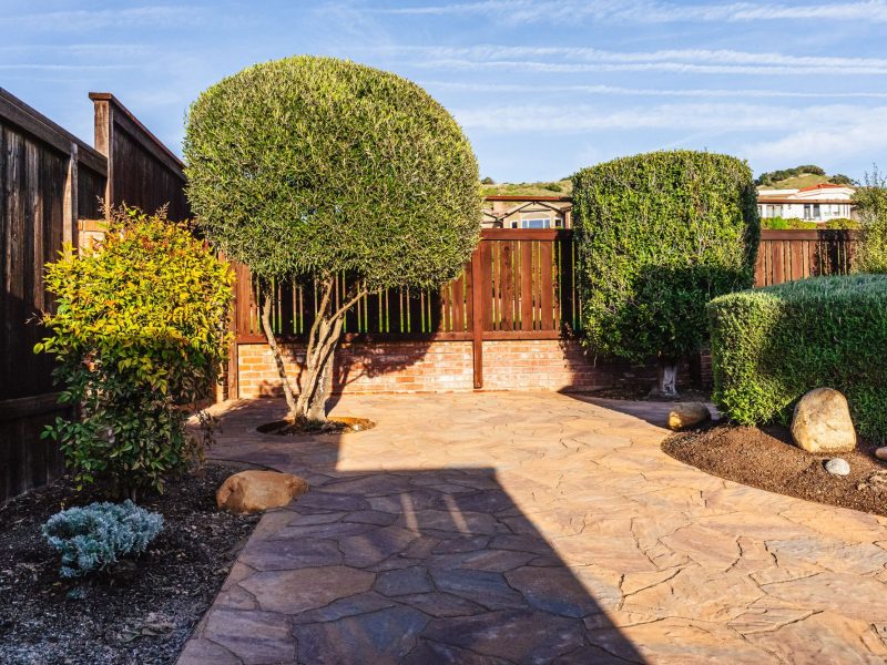 Stamped concrete courtyard with trimmed ornamental trees and brick fencing in a Shell Beach residence.