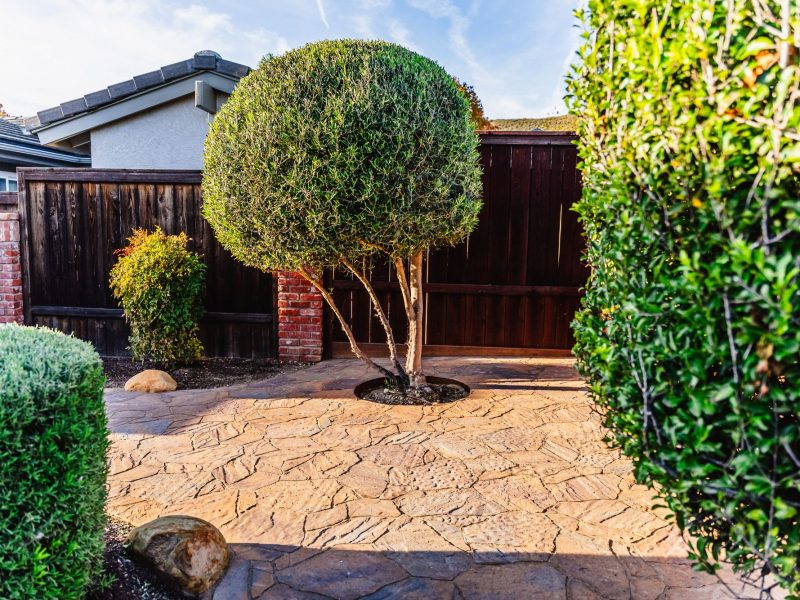 Stamped concrete walkway with natural stone texture surrounding a manicured tree in a Shell Beach backyard.